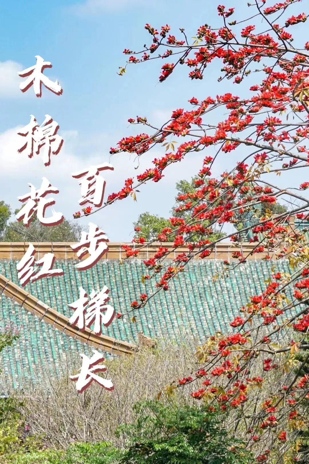 微信图片_20221117163801.jpg 微信图片_20221117163801.jpg